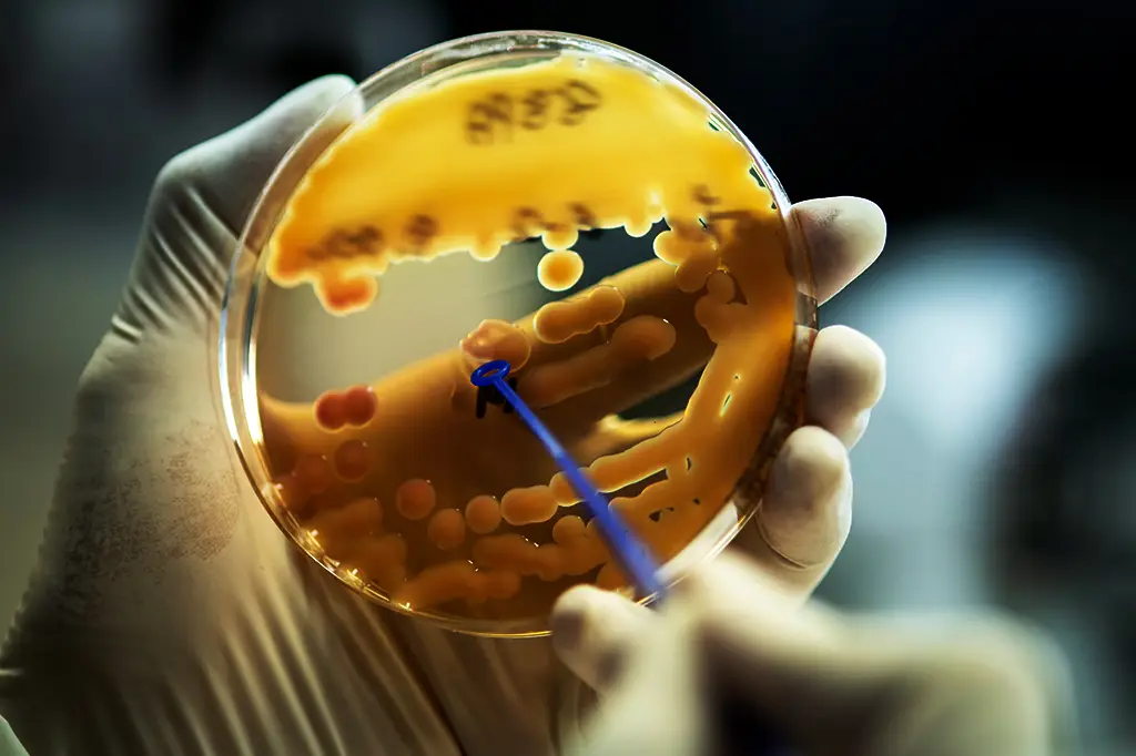 Cientistas descobrem antibiótico até 100 vezes mais potente que os atuais